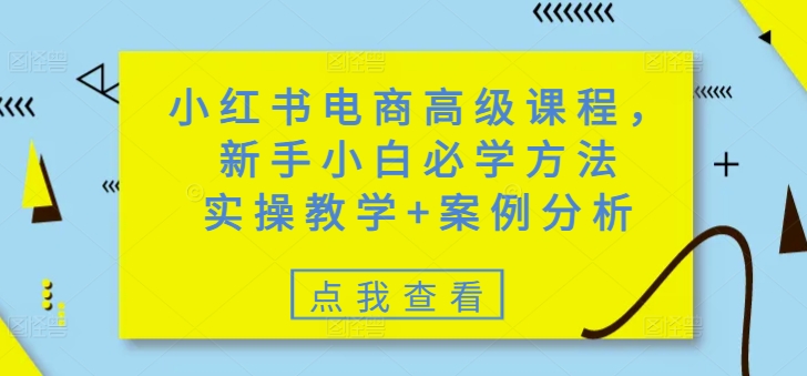 小红书电商高级课程，新手小白必学方法，实操教学+案例分析-路子网