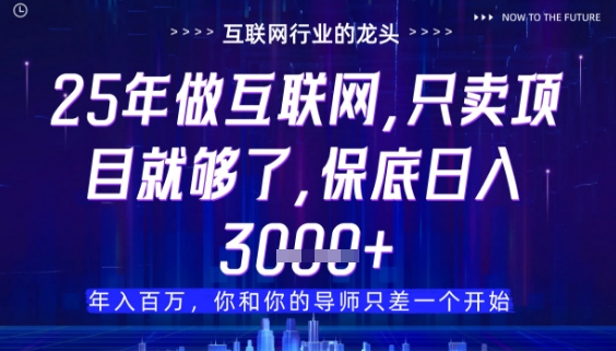 什么！25年你还在找项目做？风口早就变了，卖项目才是稳挣不赔【揭秘】-路子网