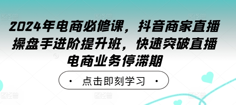 2024年电商必修课，抖音商家直播操盘手进阶提升班，快速突破直播电商业务停滞期-路子网