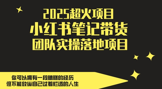 2025超火项目，副业最佳选择，小红书笔记带货团队实操落地项目，，轻松日入5张-路子网