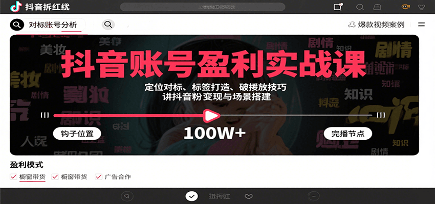 抖音账号盈利实战课，定位对标、标签打造、破播放技巧，讲涨粉变现与场景搭建-路子网
