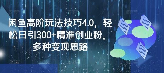闲鱼高阶玩法技巧4.0，轻松日引300+精准创业粉，多种变现思路-路子网