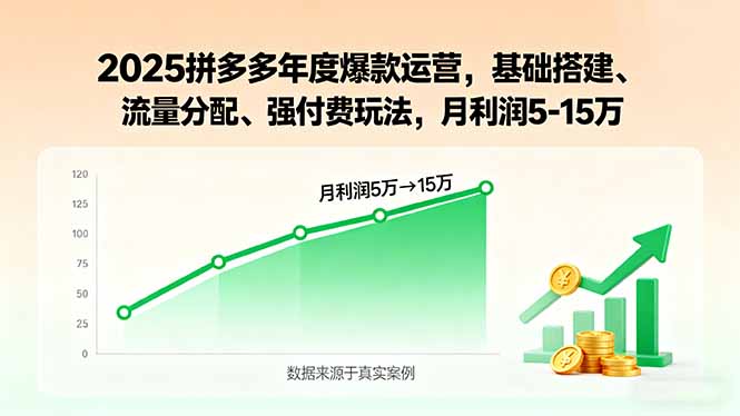 2025拼多多年度爆款运营，基础搭建、流量分配、强付费玩法，月利润5-15万-路子网