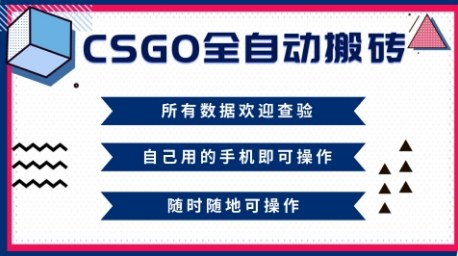 CSGO全自动搬砖，年底钱回家好项目，当天可拿到结果，新手小白轻松月入1W+【揭秘】-路子网
