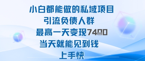 2025年小白都能做的私域项目引流负债人群最高一天变现1k+高变现难度低当天就能见到钱上手快-路子网