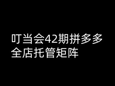 叮当会拼多多打爆班原创高阶技术第42期，拼多多全店托管矩阵-路子网