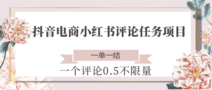抖音电商小红书评论任务项目，一个评论0.5，一单一结 不限量-路子网