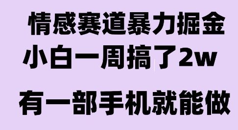 情感暴力掘金项目，新人操作一周挣了2W，长期稳定小白可做【揭秘】-路子网