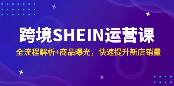 跨境SHEIN运营课，全流程解析+商品曝光，快速提升新店销量-路子网