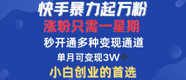 快手暴力起万粉，涨粉只需一星期，多种变现模式，直接秒开万合，单月变现过W【揭秘】-路子网