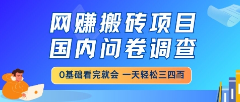 网创搬砖项目，国内问卷调查，小白轻松上手，一天三四张的也不难，干就完了【揭秘】-路子网