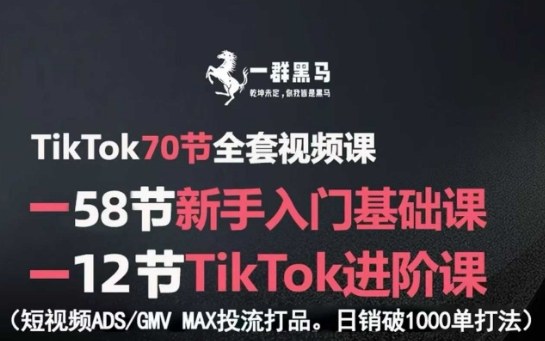 TikTok全套视频课，新手入门+进阶课，短视频ADS-GMV MAX投流打品，日销破1000单打法-路子网