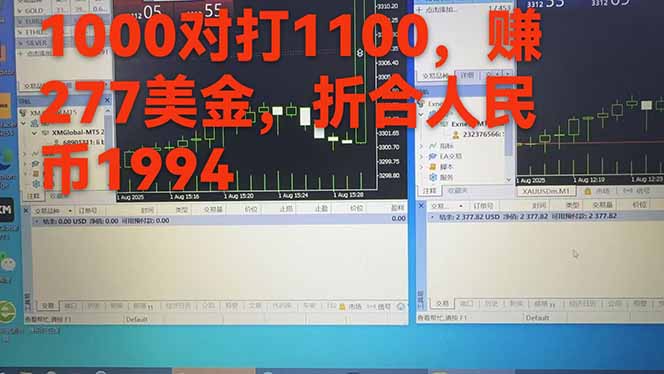 稳定8年的美刀搬砖项目，单人每日收益800—3000.团队4人月入10W+.可线下-路子网