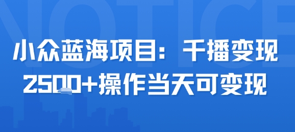 小众蓝海项目，千播变现2.5k+操作当天可变现-路子网