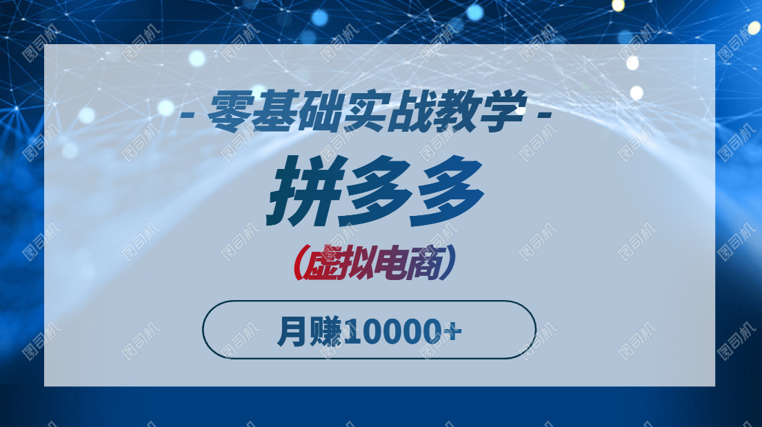 拼多多虚拟电商，零基础实战教学，快速打爆商品，新手也能月入10000+-路子网