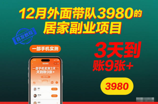 12月外面带队3980的居家副业项目,一部手机实测3天到账9张+,首发教程【揭秘】-路子网