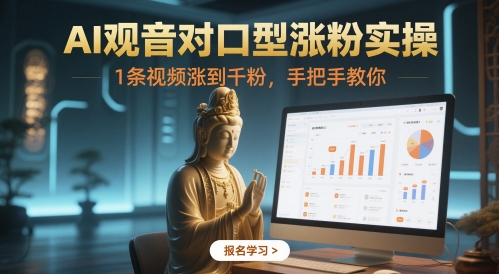 AI观音对口型涨粉实操，1条视频涨到千粉，手把手教你-路子网