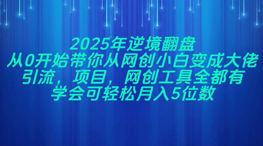 2025年逆境翻盘，从0开始带你从网创小白变成大佬，引流，项目，网创工…-路子网