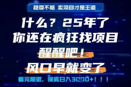 什么？25年你还在疯狂找项目做，醒醒吧，看完这些你全都懂了！【揭秘】-路子网