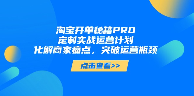 淘宝开单秘籍PRO，定制实战运营计划，化解商家痛点，突破运营瓶颈-路子网