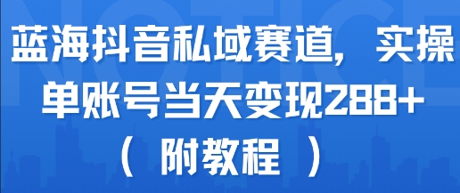 蓝海抖音私域赛道，实操单账号当天变现288+(附教程)-路子网