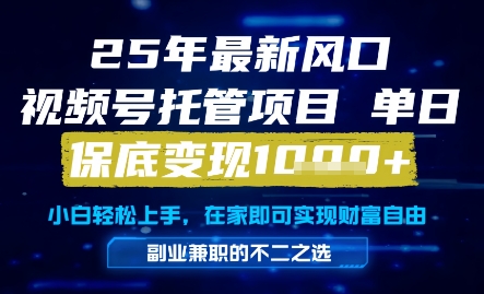 25年最新风口，视频号托管项目，单日保底变现1k+，手把手教学【揭秘】-路子网