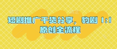 短剧推广干货分享，豹剧 1:1原创全流程-路子网