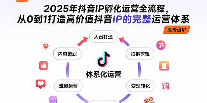2025年抖音IP孵化运营全流程，从0到1打造高价值抖音IP的完整运营体系-路子网