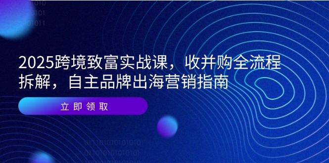 2025跨境致富实战课，收并购全流程拆解，自主品牌出海营销指南-路子网