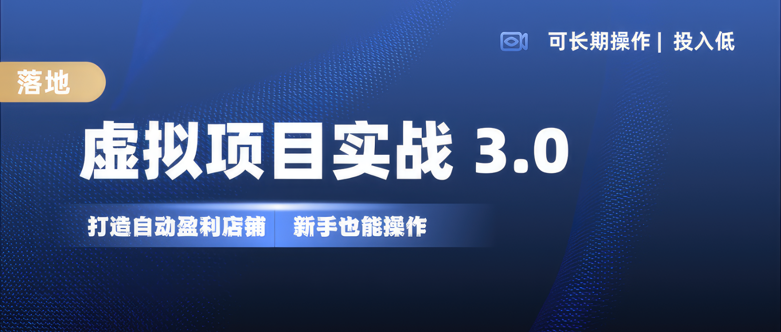 虚拟项目实操落地 3.0,新手轻松上手，单品月入1W+-路子网