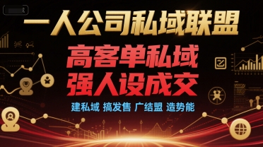 一人公司私域联盟，高客单私域，强人设成交，建私域 搞发售 广结盟 造势能-路子网