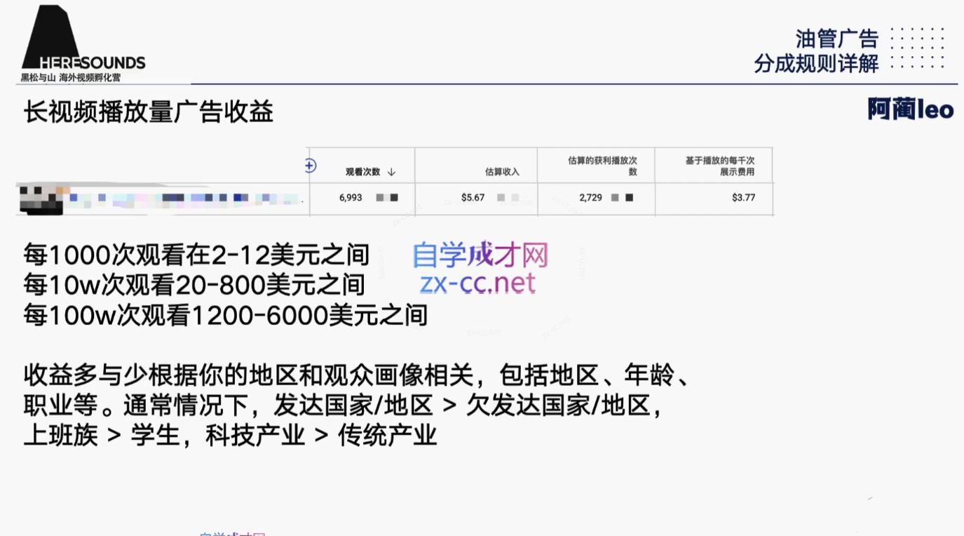 阿蔺Leo·跨境油管视频YouTube实训营(更新2025)-路子网