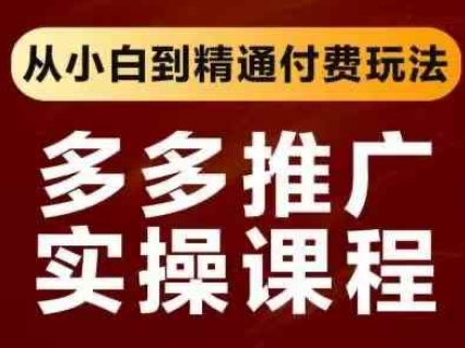 拼多多推广实操课程，从小白到精通付费玩法-路子网