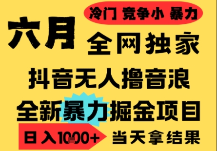 25年6月高爆抖音无人直播最新撸音浪掘金项目，小白可做，无脑日入1k+，门槛低可批量矩阵【揭秘】-路子网