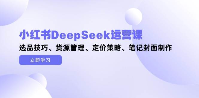 小红书DeepSeek运营课，选品技巧、货源管理、定价策略、笔记封面制作-路子网