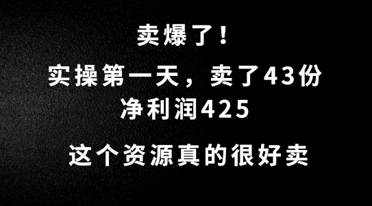 这个资源，需求很大，实操第一天卖了43份，净利润425【揭秘】-路子网