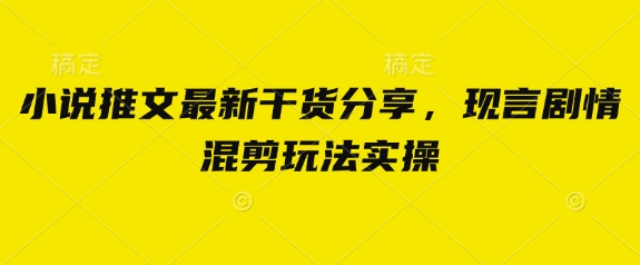 小说推文最新干货分享，现言剧情混剪玩法实操-路子网