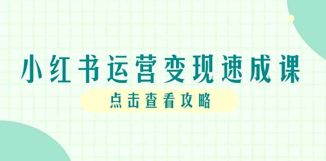 小红书运营变现速成课，账号搭建到暴力起号，个人IP全流程指南-路子网