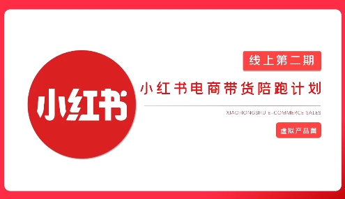 2025小红书虚拟电商实战课，从0到1打造无货源店铺，AI+爆款笔记轻松变现-路子网