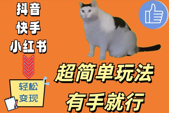 超简单玩法，有手就行，靠猫咪视频日入500+【揭秘】-路子网