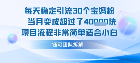每天稳定引流30个人 当月变成超过了4个W项目流程非常简单适合小白-路子网