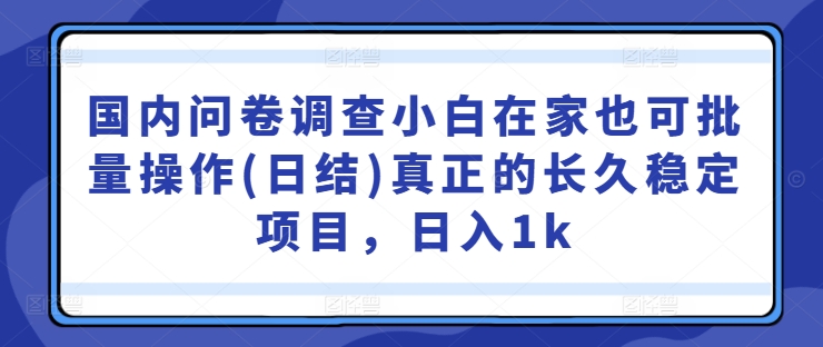 国内问卷调查小白在家也可批量操作(日结)真正的长久稳定项目，日入1k【揭秘】-路子网