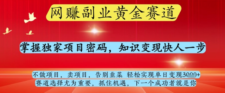 网创副业黄全赛道，掌握独家项目密码，知识变现快人一步，告别韭菜轻松实现单日变现1k+【揭秘】-路子网