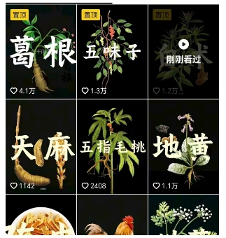 抖音中草药赛道，用AI做中草药故事视频，45条作品涨粉13W，橱窗带货猛猛出单-路子网