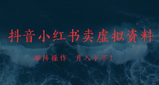 抖音小红书卖虚拟资料，市场需求一直存在，矩阵操作，月入1w+-路子网