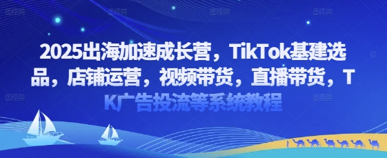 2025出海加速成长营，TikTok基建选品，店铺运营，视频带货，直播带货，TK广告投流等系统教程-路子网