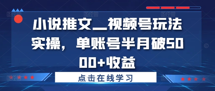 小说推文—视频号玩法实操，单账号半月破5000+收益-路子网
