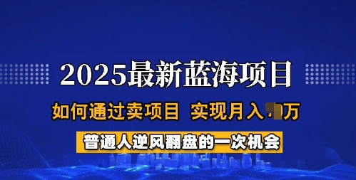 2025蓝海项目，普通人如何通过卖项目，实现月入过W，全过程【揭秘】-路子网