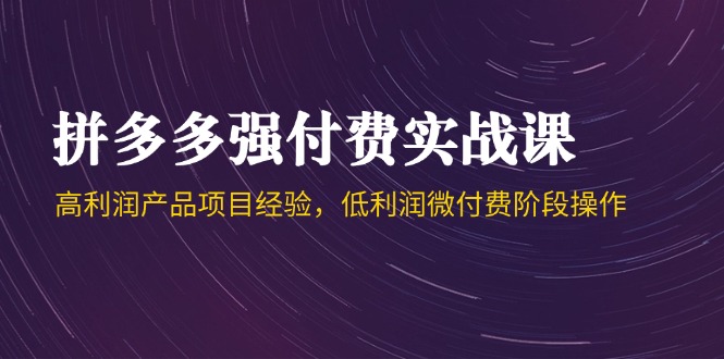 拼多多强付费实战课-44期，高利润产品项目经验，低利润微付费阶段操作-路子网