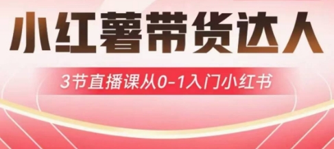 小红薯达人带货启航计划，3节直播课从0-1入门小红书-路子网
